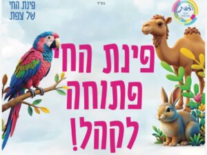 פינת חי